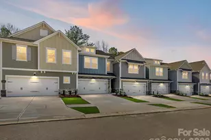 225 Alluvium Ln, Waxhaw, NC 28173 - Photo 3