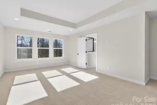 225 Alluvium Ln, Waxhaw, NC 28173 - Photo 19