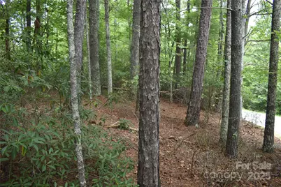 129 Captains Drive #221, Nebo, NC 28761 - Photo 7