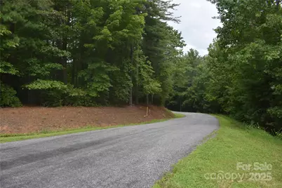 129 Captains Drive #221, Nebo, NC 28761 - Photo 3