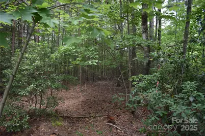 129 Captains Drive #221, Nebo, NC 28761 - Photo 9