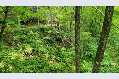Tbd Frozen Creek Road, Brevard, NC 28712 - Photo 27