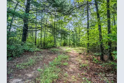 Tbd Frozen Creek Road, Brevard, NC 28712 - Photo 3