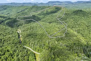 Tbd Frozen Creek Rd, Brevard, NC 28712 - Photo 1