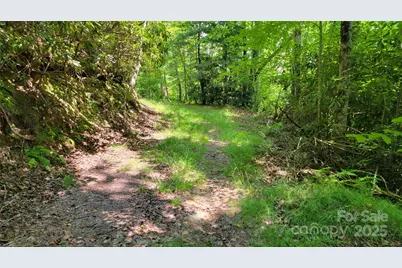 Tbd Frozen Creek Road, Brevard, NC 28712 - Photo 23