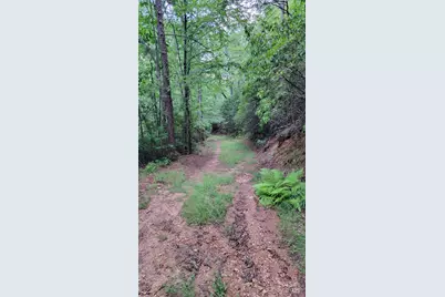 Tbd Frozen Creek Road, Brevard, NC 28712 - Photo 29