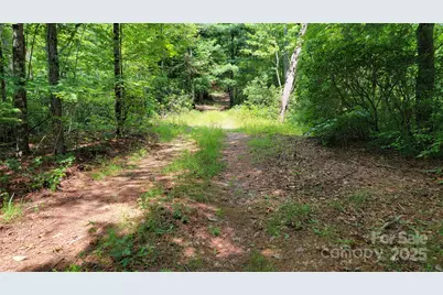 Tbd Frozen Creek Road, Brevard, NC 28712 - Photo 21