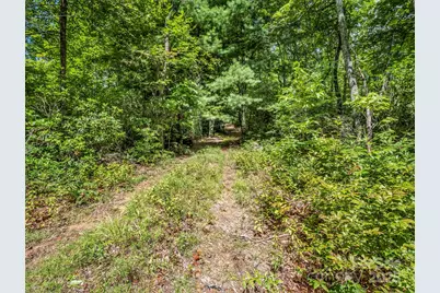 Tbd Frozen Creek Road, Brevard, NC 28712 - Photo 5
