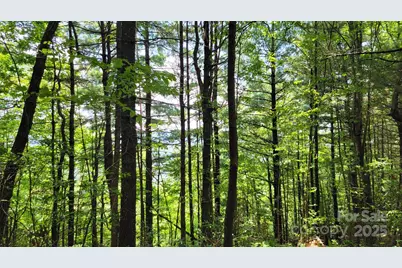 Tbd Frozen Creek Road, Brevard, NC 28712 - Photo 25