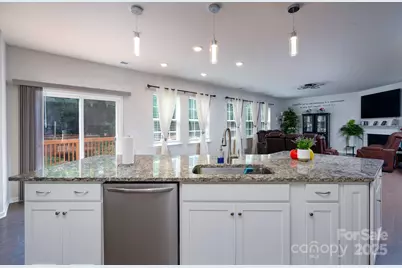 12009 Wild Ginger Lane, Charlotte, NC 28227 - Photo 19