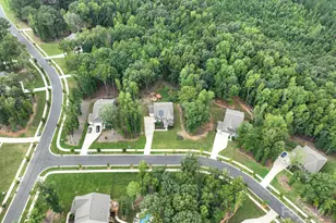 12009 Wild Ginger Ln, Charlotte, NC 28227 - Photo 11