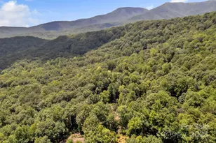 410 Dogwood Trail, Tryon, NC 28782 - Photo 21