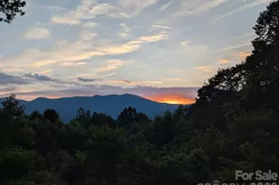 1856 Cabbage Patch Rd, Burnsville, NC 28714 - Photo 45