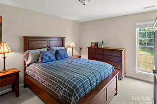 298 Lone Pine Rd, Alexander, NC 28701 - Photo 31