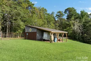 298 Lone Pine Rd, Alexander, NC 28701 - Photo 45