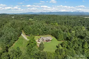 298 Lone Pine Rd, Alexander, NC 28701 - Photo 41