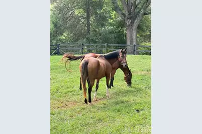 256 Johnson Dairy Road, Mooresville, NC 28115 - Photo 21