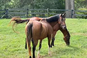 256 Johnson Dairy Rd, Mooresville, NC 28115 - Photo 21