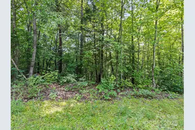 Lot #46 Hazel Hollow Drive, Sylva, NC 28779 - Photo 11