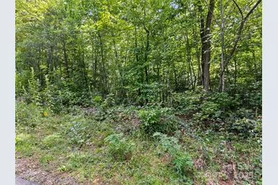 Lot #46 Hazel Hollow Drive, Sylva, NC 28779 - Photo 9