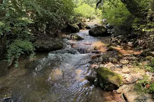 43 Wild Horse Rd, Sylva, NC 28779 - Photo 11