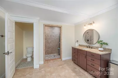 663 Wickhams Fancy Drive, Biltmore Lake, NC 28715 - Photo 31