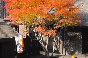 115 Kinwood St, Morganton, NC 28655 - Photo 5