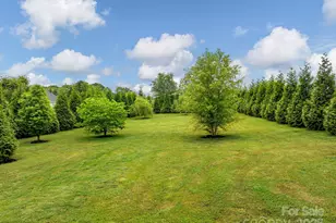 142 Cobblestone Crossing, Gaffney, SC 29341 - Photo 37