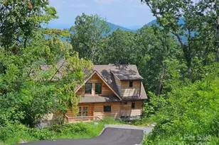 266 Potomac Falls Dr, Black Mountain, NC 28711 - Photo 3