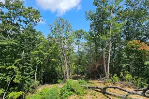 266 Potomac Falls Dr, Black Mountain, NC 28711 - Photo 39