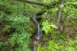 415 Shady Grv Rd, Tuckasegee, NC 28783 - Photo 45