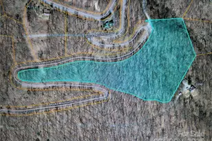 999 Skyuka Mountain Rd, Columbus, NC 28722 - Photo 1