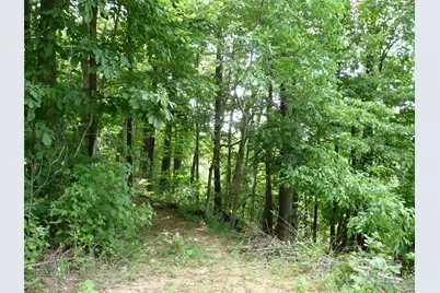 999 Skyuka Mountain Road #Lot 9, Columbus, NC 28722 - Photo 5