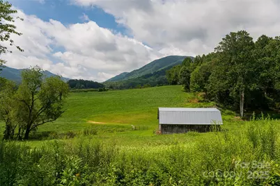 36 Brooks Branch Road, Leicester, NC 28748 - Photo 45