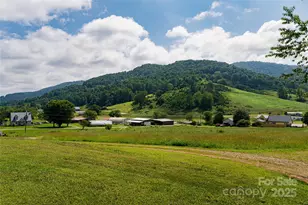 36 Brooks Branch Rd, Leicester, NC 28748 - Photo 47