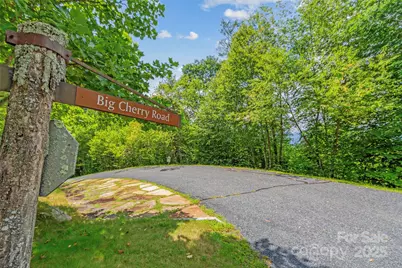 Lot 9 Wormy Chestnut Road, Burnsville, NC 28714 - Photo 5