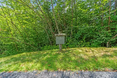 Lot 9 Wormy Chestnut Road, Burnsville, NC 28714 - Photo 7