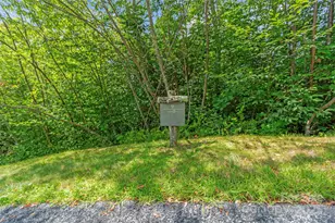 Lot 9 Wormy Chestnut Rd, Burnsville, NC 28714 - Photo 7