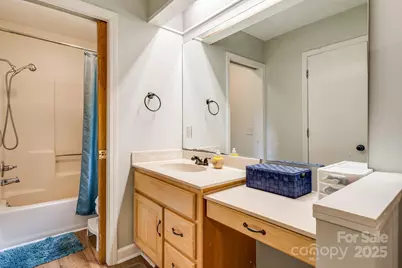 4155 Turnpike Road, Horse Shoe, NC 28742 - Photo 23