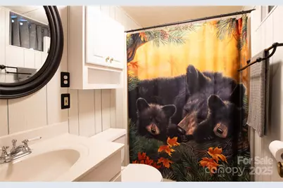 2038 Toms Creek Road, Marion, NC 28752 - Photo 33