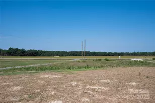 7771 Hwy 265 Hwy, Mount Croghan, SC 29727 - Photo 5