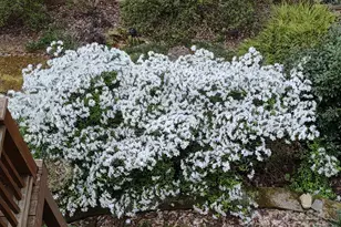 6164 N Knoll Pl, Hickory, NC 28601 - Photo 27