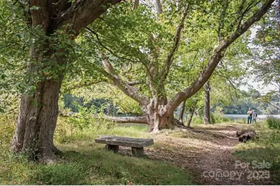 608 Storybook Villas Trail, Asheville, NC 28804 - Photo 45