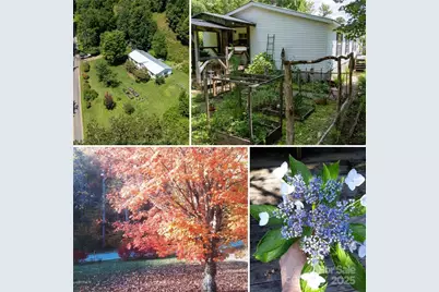 614 Upper Doe Bag Road, Green Mountain, NC 28740 - Photo 1