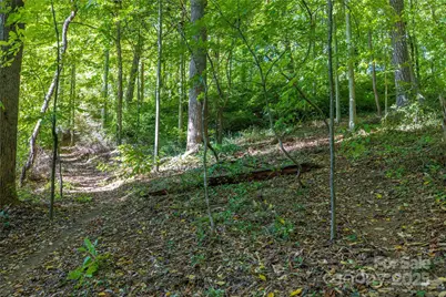 5 Orrinel Way, Asheville, NC 28806 - Photo 43