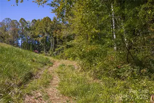 5 Orrinel Wy, Asheville, NC 28806 - Photo 39