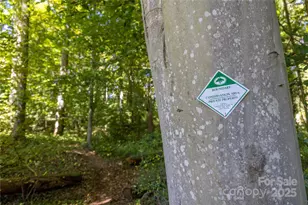 5 Orrinel Wy, Asheville, NC 28806 - Photo 41