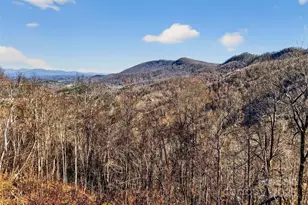 60 Wildflower Ln, Old Fort, NC 28762 - Photo 35