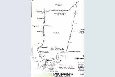 108 Lanning Road, Clyde, NC 28721 - Photo 15