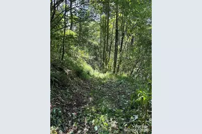 108 Lanning Road, Clyde, NC 28721 - Photo 9